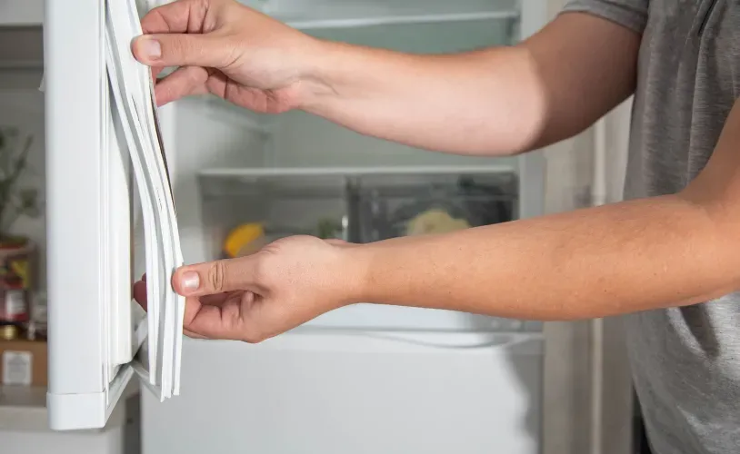 broken-refrigerator-door-seal